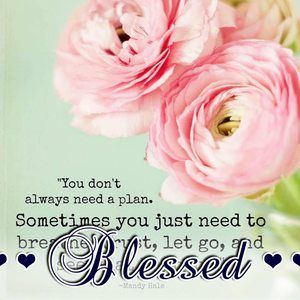 Meet your Posher, Nelda